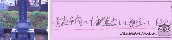 お客様の声13