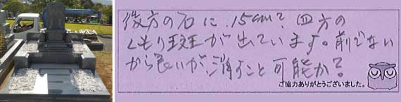 お客様の声35