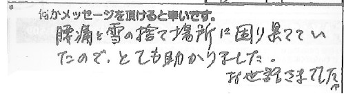 腰痛と雪の捨て場所に困り果てていたので、とても助かりました。お世話さまでした。